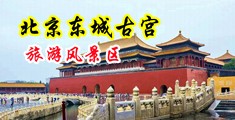 屄流水屌射精中国北京-东城古宫旅游风景区